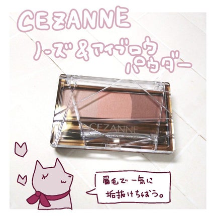 ノーズ&アイブロウパウダー/CEZANNE/パウダーアイブロウを使ったクチコミ(1枚目)