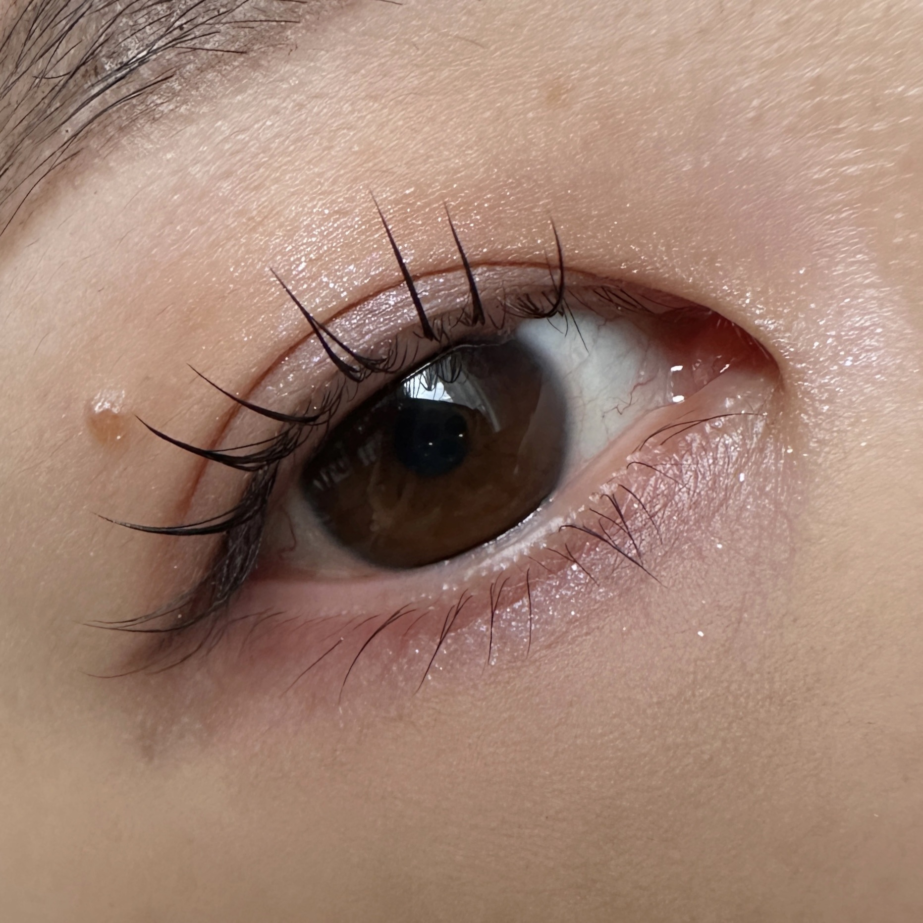 レ キャトル オンブル ビザンス /CHANEL/アイシャドウパレットを使ったクチコミ（2枚目）