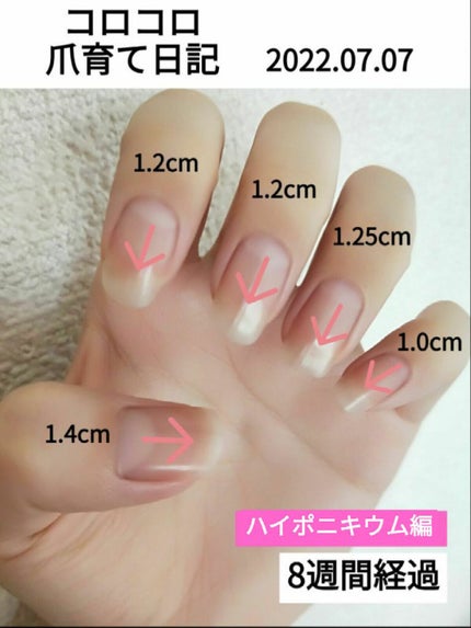 ベタガード/フローラル 4 シーズンズ/ハンドクリームを使ったクチコミ(1枚目)