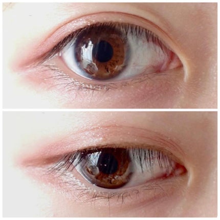 ããã©ã«ã¯ã©ãã·ã£ã·ã£ããŒ/ãšããŽã©ã¹/ã¢ã€ã·ã£ããŠãã¬ããã䜿ã£ãã¯ãã³ãïŒ4æç®ïŒ