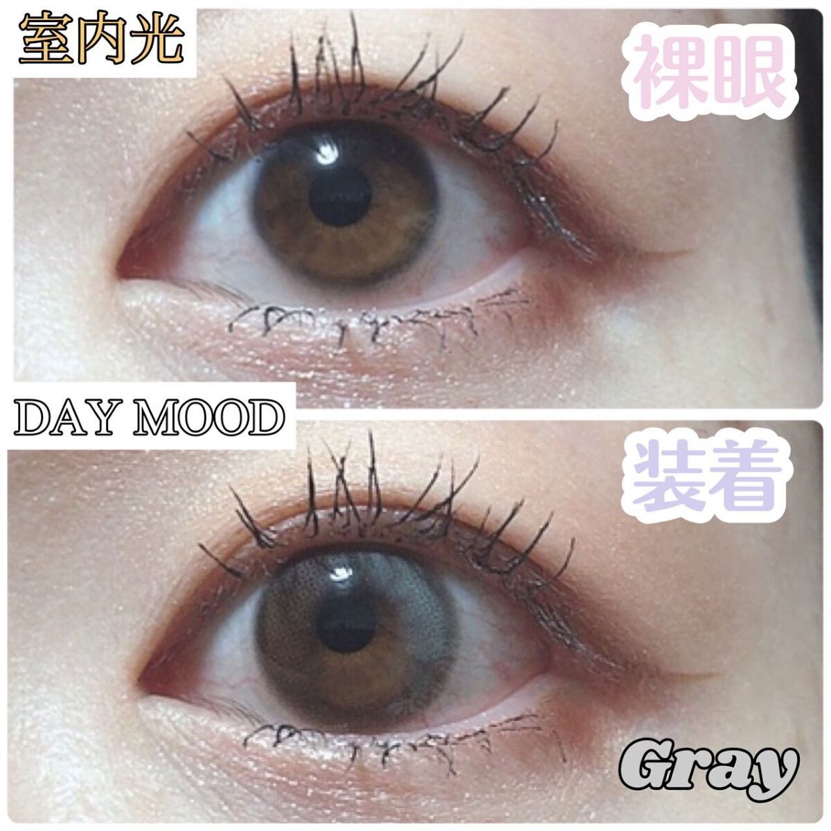 デームードワンデー(DAYMOOD 1day)/OLOLA/ワンデー(1DAY)カラコンを使ったクチコミ(7枚目)