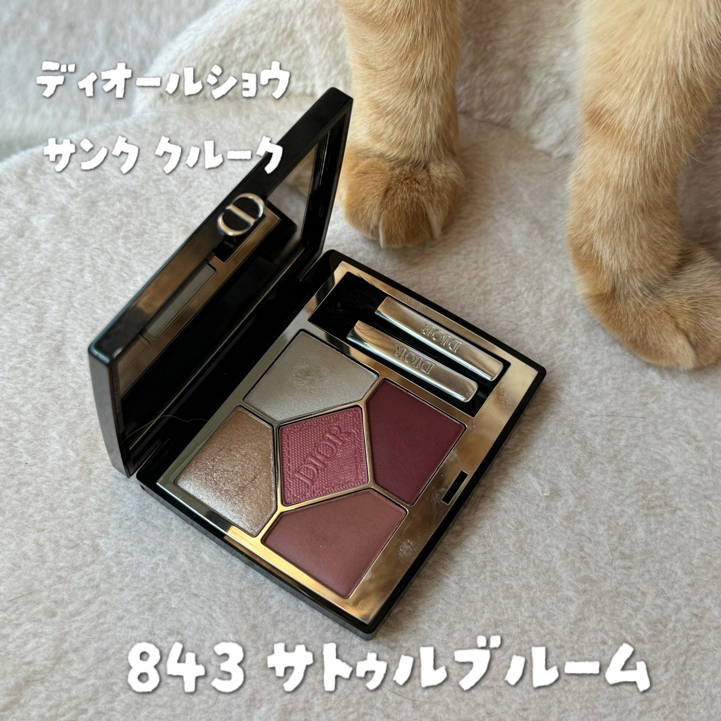 ディオールショウ サンク クルール/Dior/アイシャドウを使ったクチコミ(1枚目)