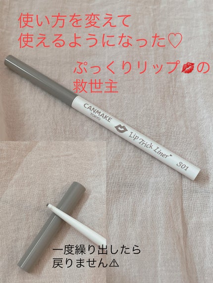 リップトリックライナー/キャンメイク/リップライナーを使ったクチコミ(1枚目)