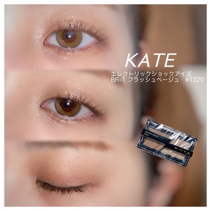 エレクトリックショックアイズ /KATE/アイシャドウパレットを使ったクチコミ(1枚目)