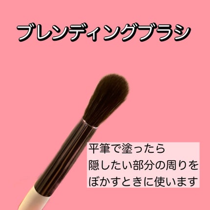 コンシールブレンダーパレット/LUNA/パレットコンシーラーを使ったクチコミ(5枚目)