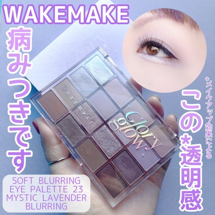 ソフトブラーリングアイパレット/wakemake/アイシャドウパレットを使ったクチコミ(1枚目)
