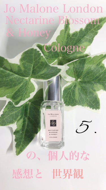 ネクタリン ブロッサム ＆ ハニー コロン/Jo MALONE LONDON/香水(レディース)を使ったクチコミ（1枚目）