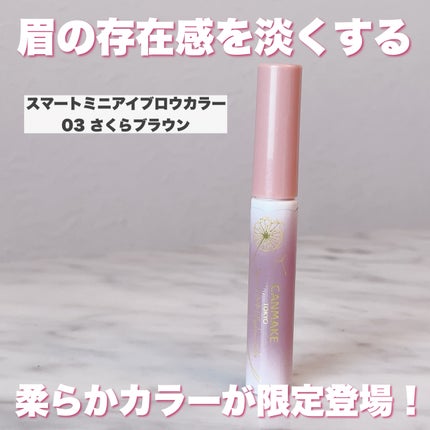 ラスティングリキッドライナー/キャンメイク/リキッドアイライナーを使ったクチコミ(7枚目)