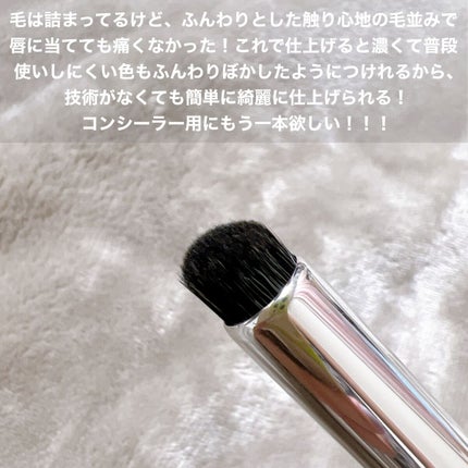フィンガーブラシ /ブリリアージュ/メイクブラシを使ったクチコミ(4枚目)