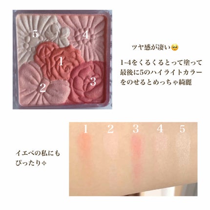 グロウフルールチークス/キャンメイク/パウダーチークを使ったクチコミ(2枚目)