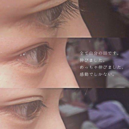 ローヤルゼリー配合 栄養ローション/DAISO/美容液を使ったクチコミ(2枚目)