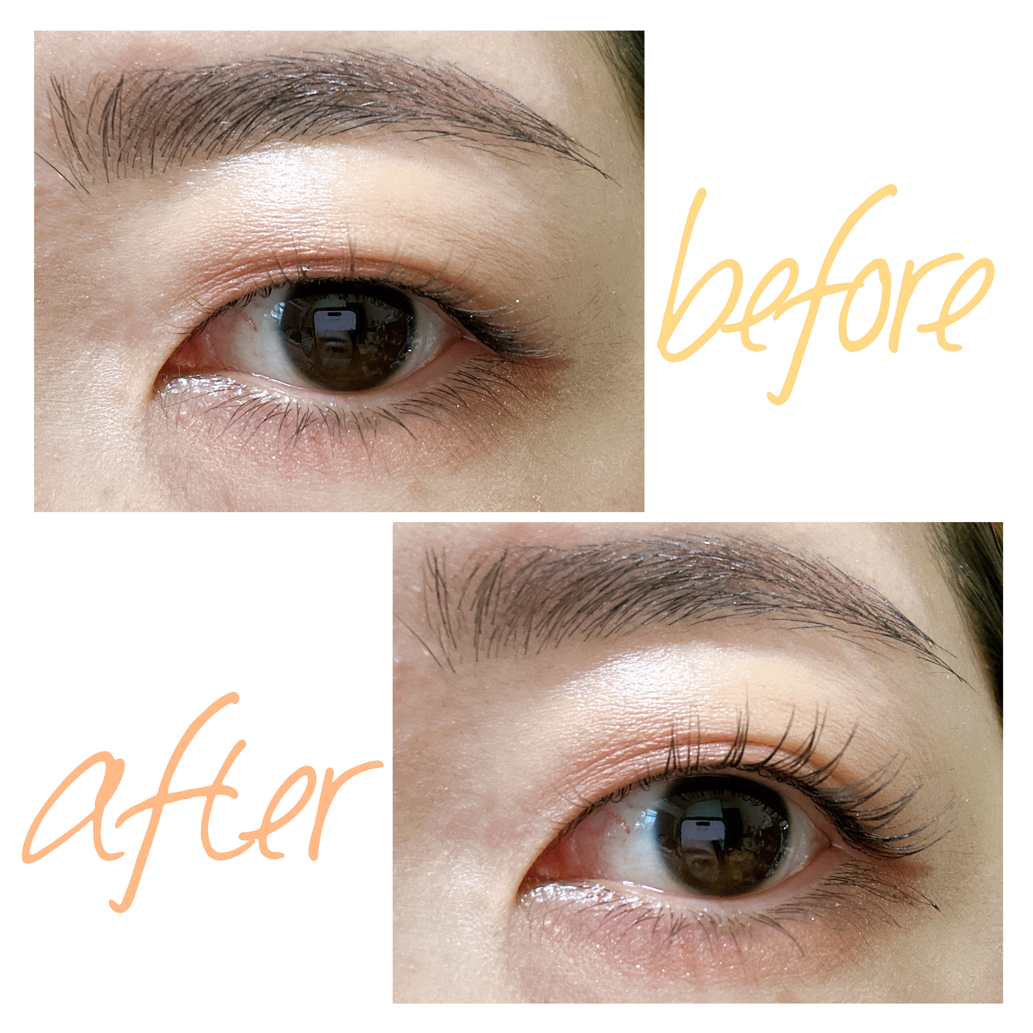 ハイパーリフトマスカラ/D-UP/マスカラを使ったクチコミ（2枚目）