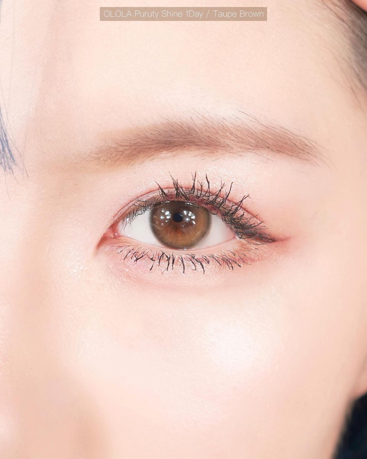ピュアリティーシャインワンデー(PURITYSHINE 1day)/OLOLA/ワンデー（１DAY）カラコンを使ったクチコミ（3枚目）
