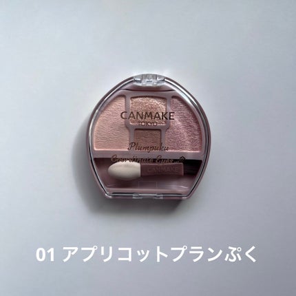 プランぷくコーデアイズ/キャンメイク/パウダーアイシャドウを使ったクチコミ(2枚目)