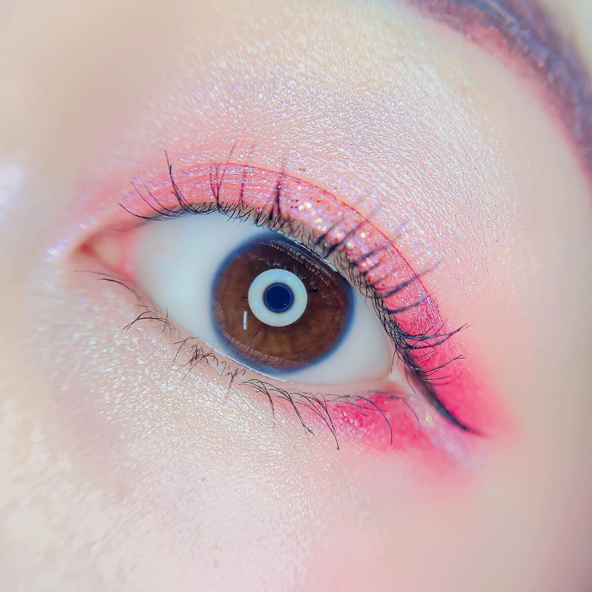 ディスコグラム アイパレット/shu uemura/アイシャドウパレットを使ったクチコミ（3枚目）