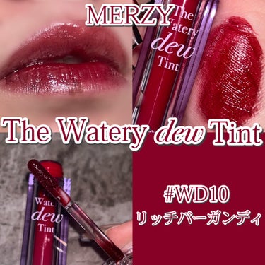 ザ ウォータリー デューティント WD10 リッチ バーガンディー/MERZY/口紅の画像