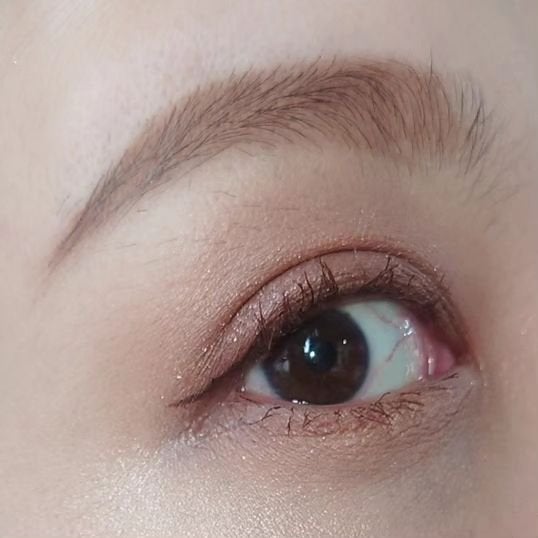 プティパレットアイズ/キャンメイク/パウダーアイシャドウを使ったクチコミ(5枚目)