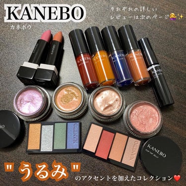 レイヤードカラーズアイシャドウ/KANEBO/アイシャドウパレットを使ったクチコミ（1枚目）