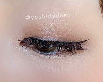デコラティブアイラッシュ (上まつ毛用)/Decorative Eyelash/つけまつげを使ったクチコミ(2枚目)