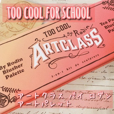 バイロダン アートパレットⅡ/too cool for school/メイクアップキットを使ったクチコミ（1枚目）