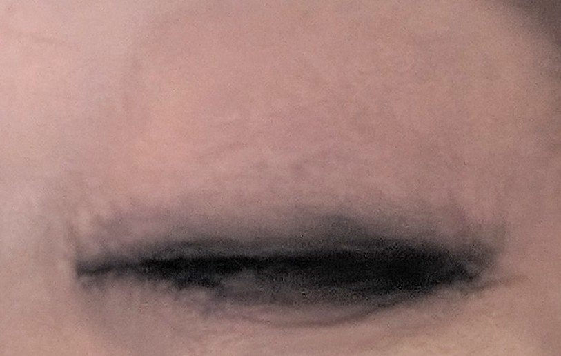 カラーパターンパレット/i’m meme/マルチパレットを使ったクチコミ（3枚目）