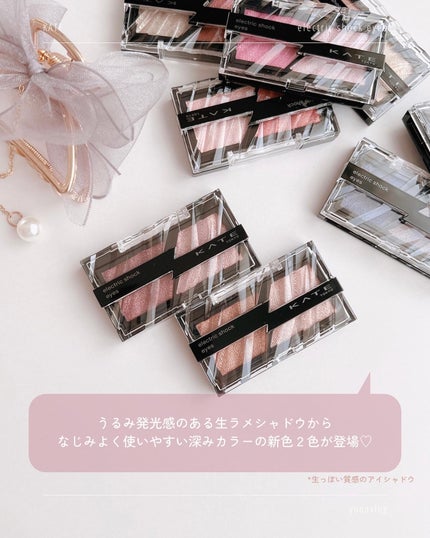 エレクトリックショックアイズ /KATE/アイシャドウパレットを使ったクチコミ(2枚目)