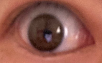 JINS1DAYCOLOR/JINS/ワンデー(1DAY)カラコンを使ったクチコミ(2枚目)