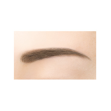 パウダー＆ペンシル　アイブロウＥＸ PD05'23 グレイッシュブラウン(限定デザイン)