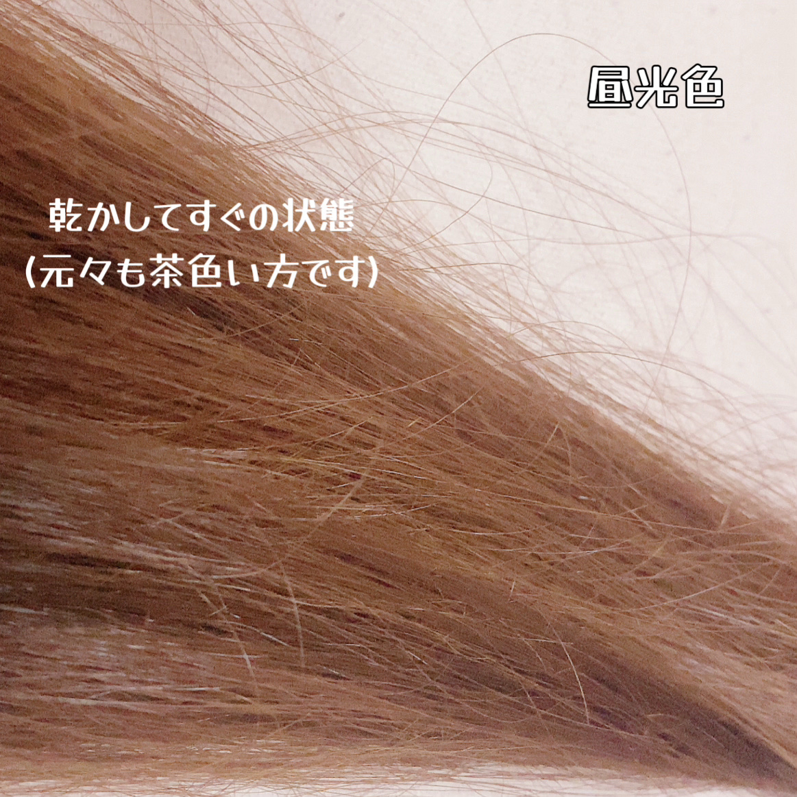 tottimo！ディップカラー/アイケイ/ヘアカラーを使ったクチコミ（3枚目）