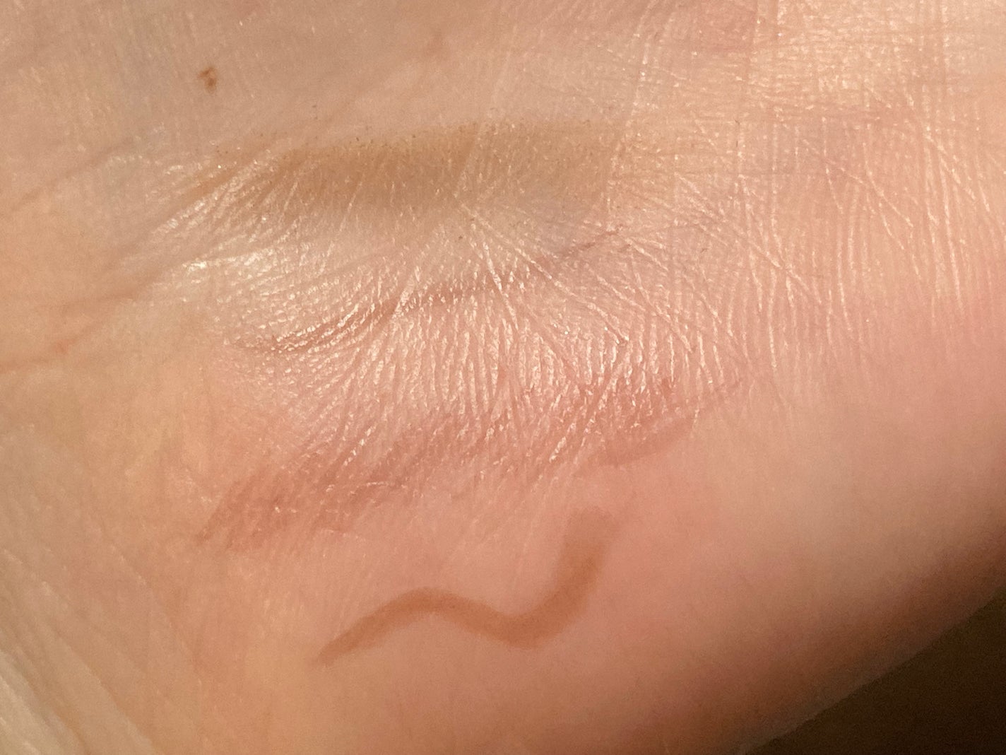 ロングラスティングアイブロウ/excel/リキッドアイブロウを使ったクチコミ(7枚目)