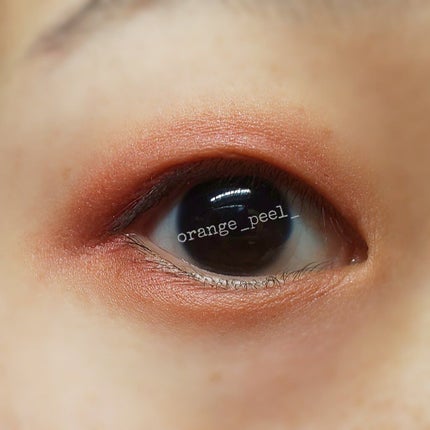 アイプランナー/excel/単色アイシャドウを使ったクチコミ(5枚目)