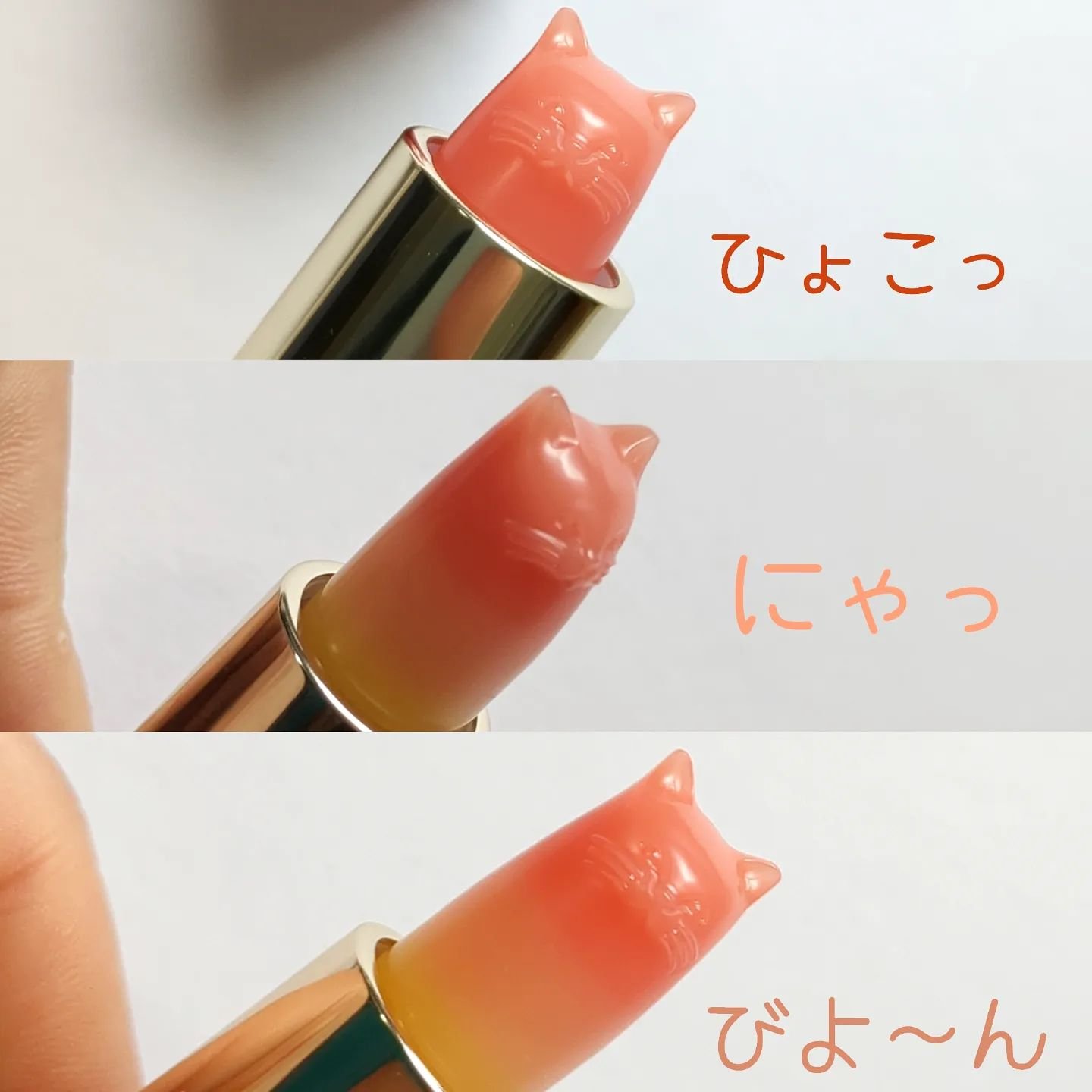 リップスティック トリートメント/PAUL & JOE BEAUTE/リップケアを使ったクチコミ（3枚目）