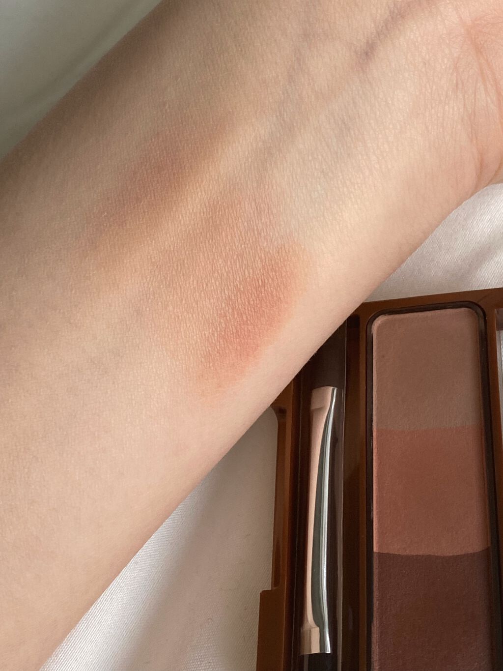 ノーズ＆アイブロウパウダー/CEZANNE/パウダーアイブロウを使ったクチコミ（2枚目）