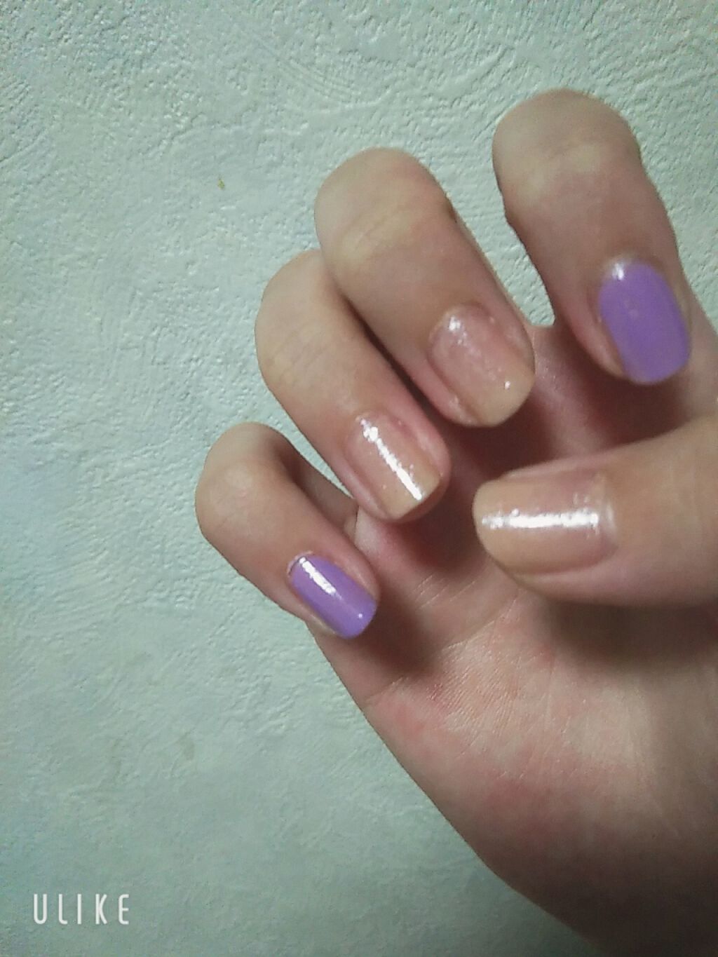 カラフルネイルズ ネイルハードナー/キャンメイク/ネイルトップコートを使ったクチコミ（1枚目）