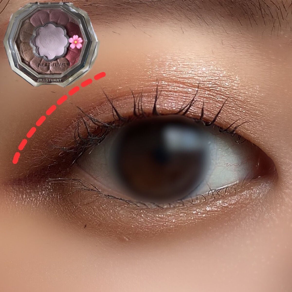 ジルスチュアート ブルームクチュール アイズ/JILL STUART/アイシャドウパレットを使ったクチコミ(6枚目)