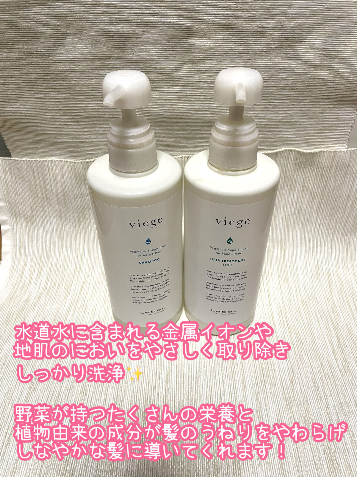 試してみた】LebeL ヴィージェ ヘアトリートメント Sの効果・髪質別の