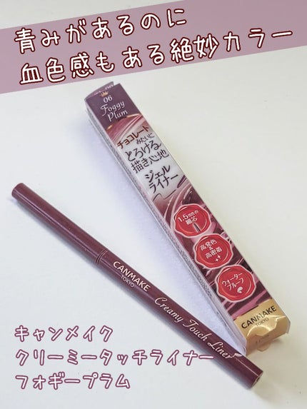 クリーミータッチライナー/キャンメイク/ジェルアイライナーを使ったクチコミ(1枚目)