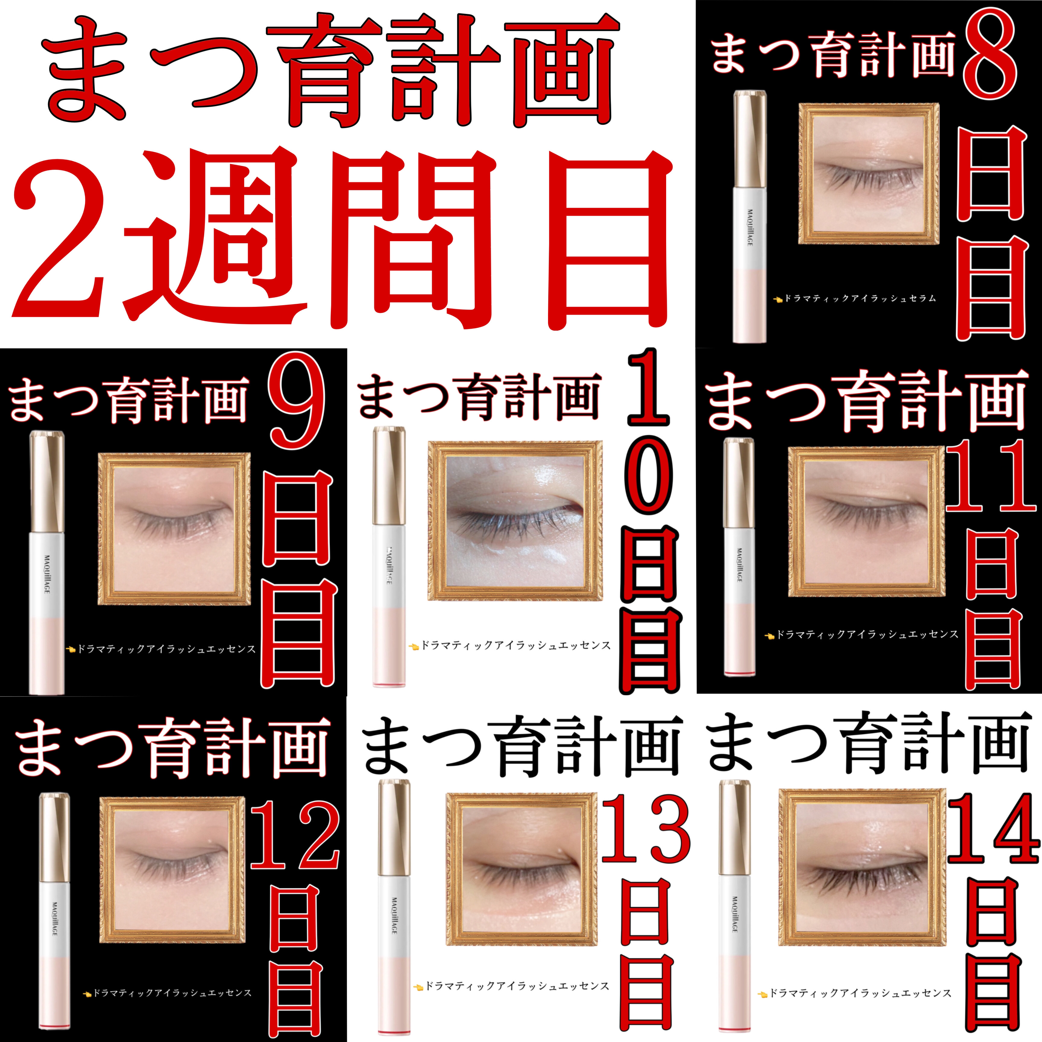 マキアージュ ドラマティックアイラッシュエッセンスのクチコミ「まつ毛育成日記【2週間目】
　

✼••┈┈••✼••┈┈••✼••┈┈••✼••┈┈••✼
.....」（1枚目）