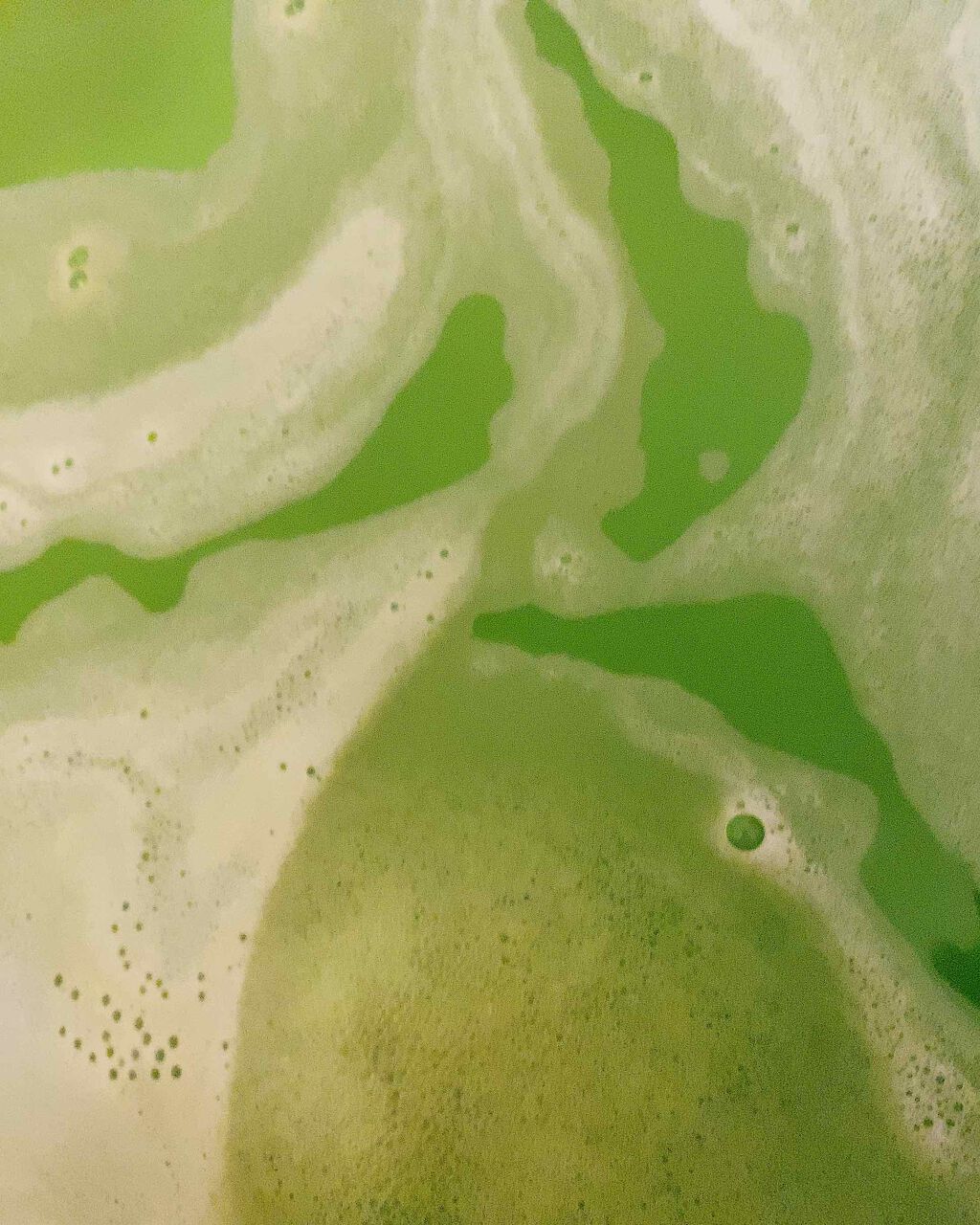 ロアー!/ラッシュ/入浴剤を使ったクチコミ（3枚目）