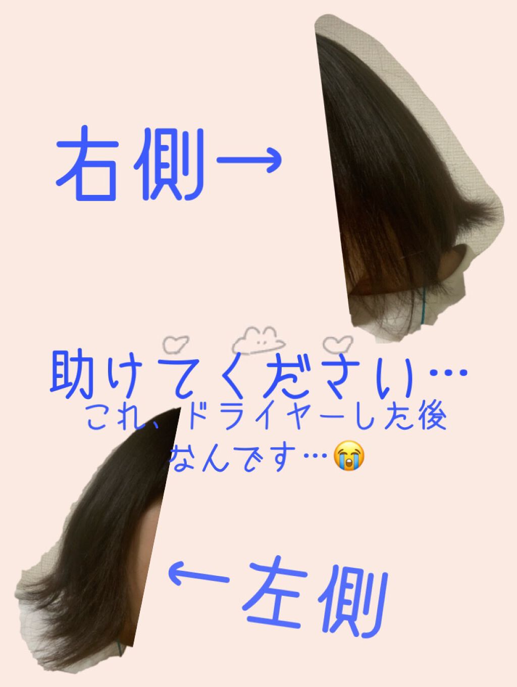 オイルトリートメント #EXヘアオイル リッチモイスチャー/ルシードエル/ヘアオイルを使ったクチコミ（1枚目）