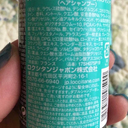 ファイブハーブス ピュアフレッシュネス シャンプー/コンディショナー/L'OCCITANE/市販シャンプーを使ったクチコミ(2枚目)