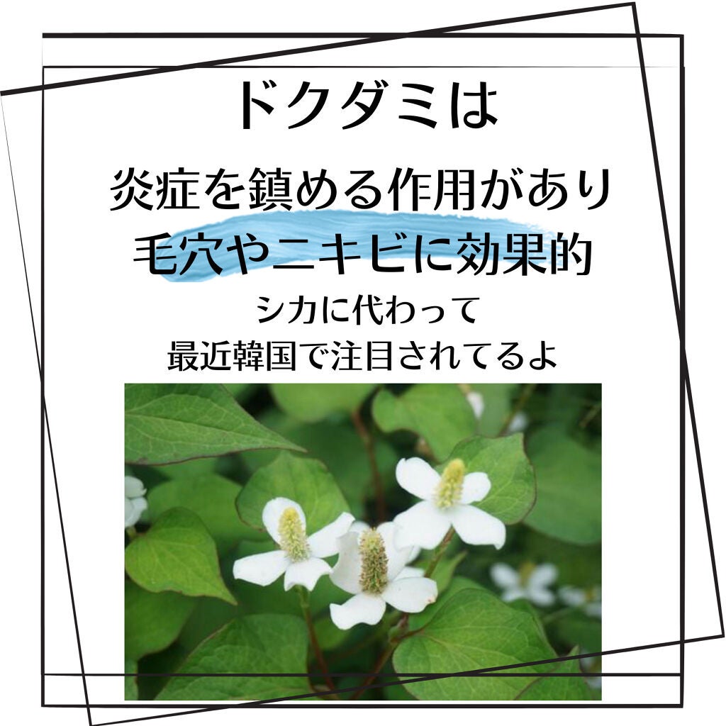 ドクダミ 77 スージングトナー/Anua/化粧水を使ったクチコミ(3枚目)