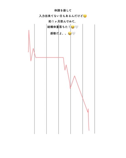 ON BODY 漢方ダイエット薬/ONBODY/ボディサプリメントを使ったクチコミ(5枚目)