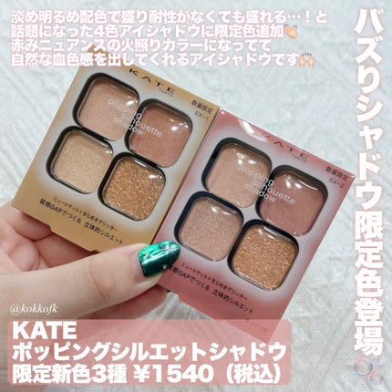 ケイト ポッピングシルエットシャドウ/KATE/アイシャドウパレットを使ったクチコミ(2枚目)