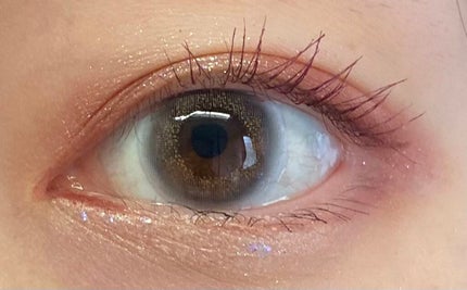Angelcolor Bambi Series Vintage 1day/AngelColor/ワンデー(1DAY)カラコンを使ったクチコミ(1枚目)