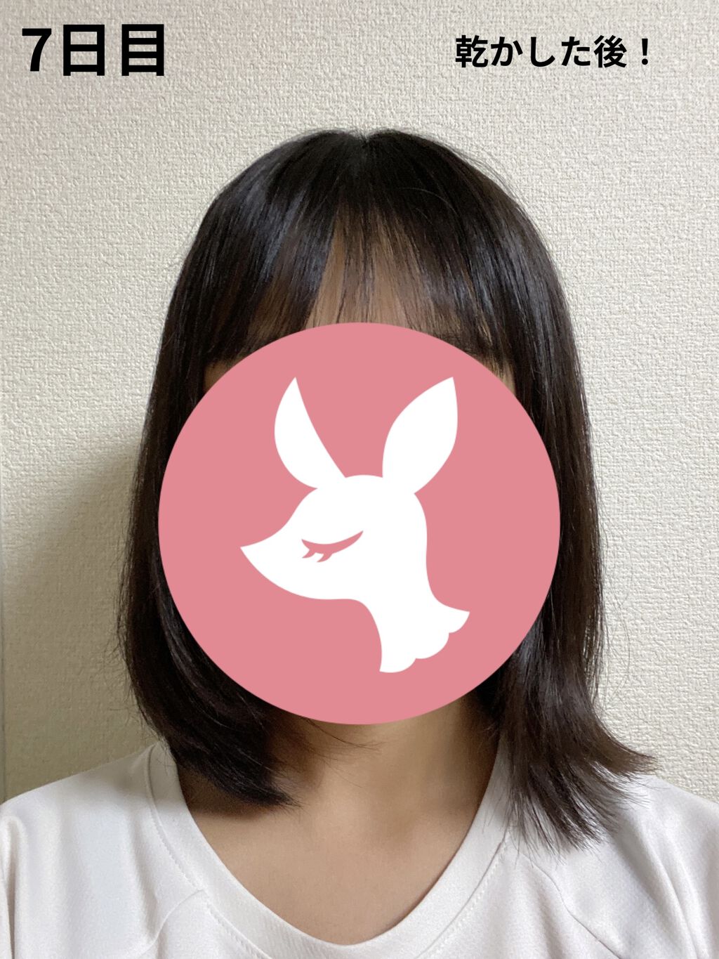 ヘアアクセルレーター レモンライムの香り/加美乃素本舗/頭皮ローションを使ったクチコミ（3枚目）