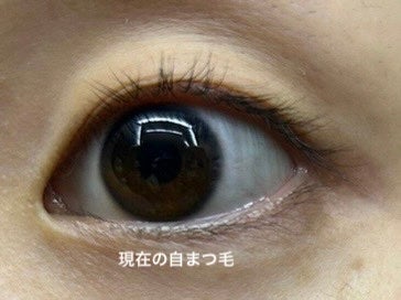 ラッシュジェリードロップ EX/MAJOLICA MAJORCA/まつげ美容液を使ったクチコミ(5枚目)