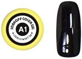 ジェルカラー A-1