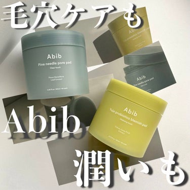 松葉ポアーパッド クリアタッチ/Abib /その他スキンケアを使ったクチコミ（1枚目）