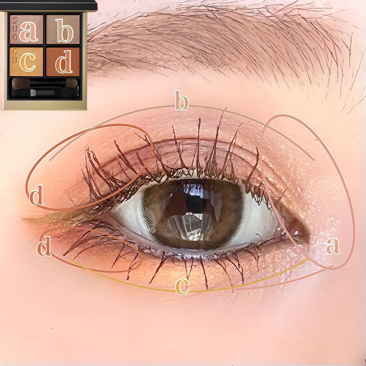 シグニチャー カラー アイズ/SUQQU/アイシャドウパレットを使ったクチコミ(3枚目)